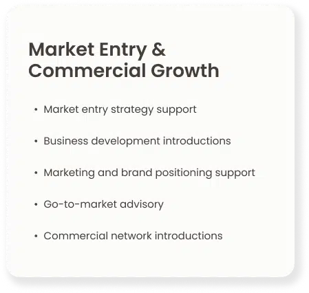 Market Entry & Commercial Growth